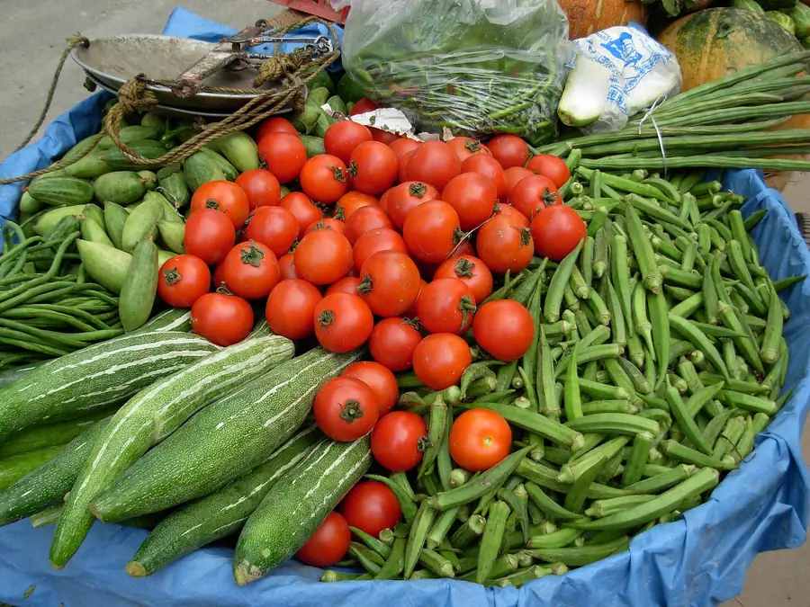 Tomatoes, okra and snake gourd fresh from the market