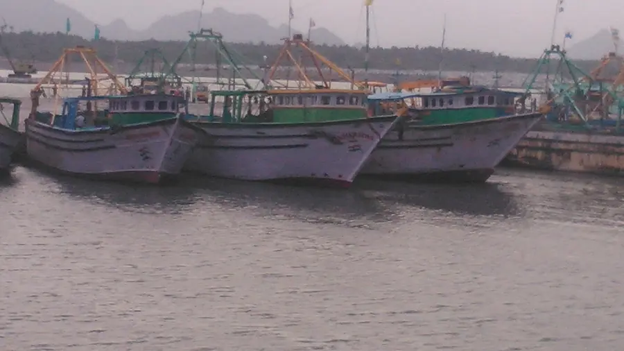 Fishing boats moored at a Tamil Nadu fishing harbour